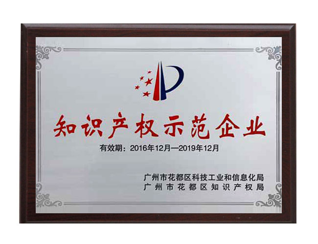 知識產(chǎn)權(quán)示范企業(yè)