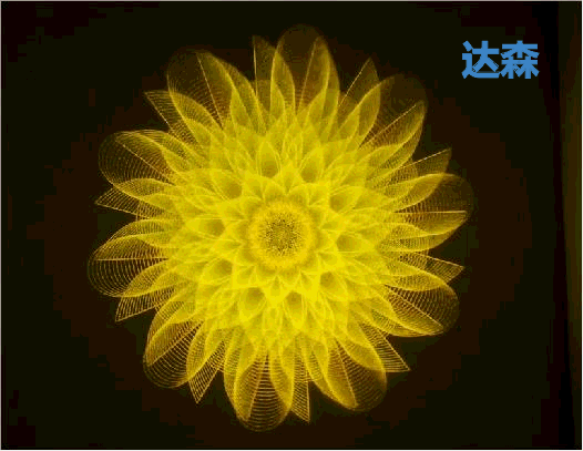 金蓮花(1)